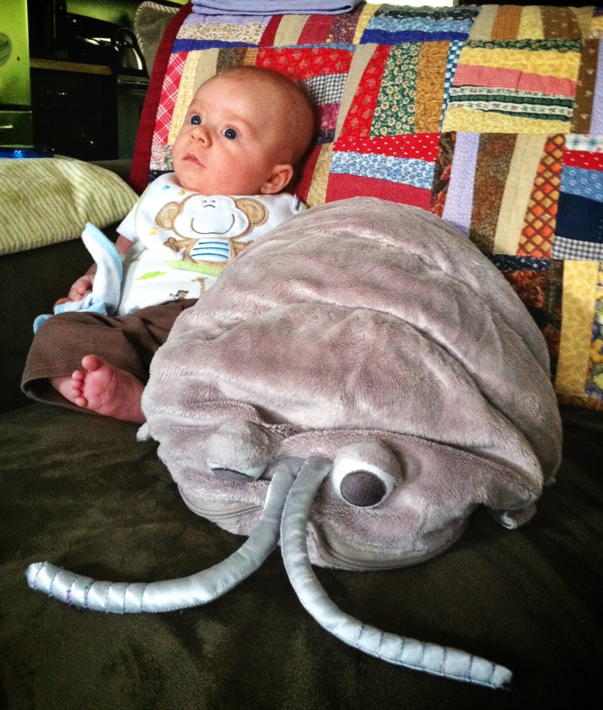 A boy and his pillbug